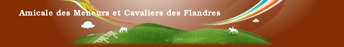 Amicale des Meneurs et Cavaliers des Flandres